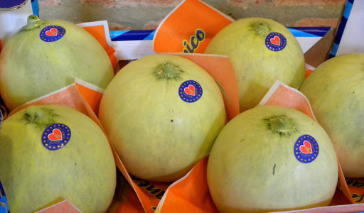 Melone Liscio