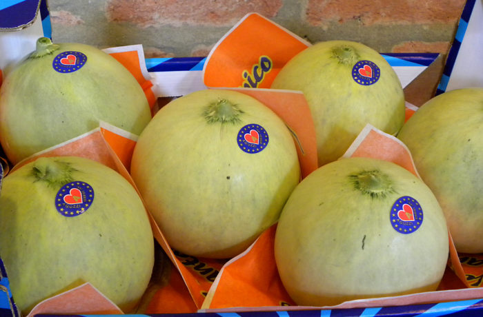 Melone Liscio