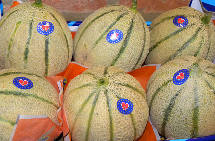 Classico Melone Retato Italiano