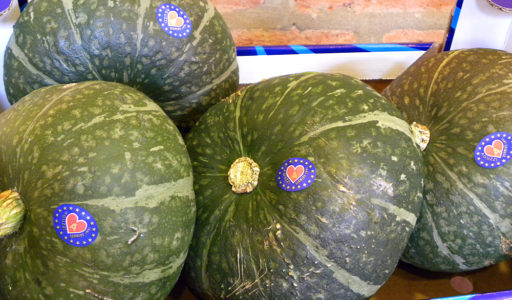 Zucca Delica