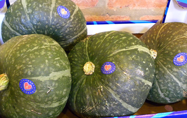 Zucca Delica