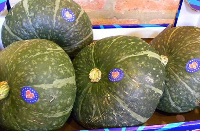 Zucca Delica